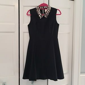Fit and Flare dress with leopard collar